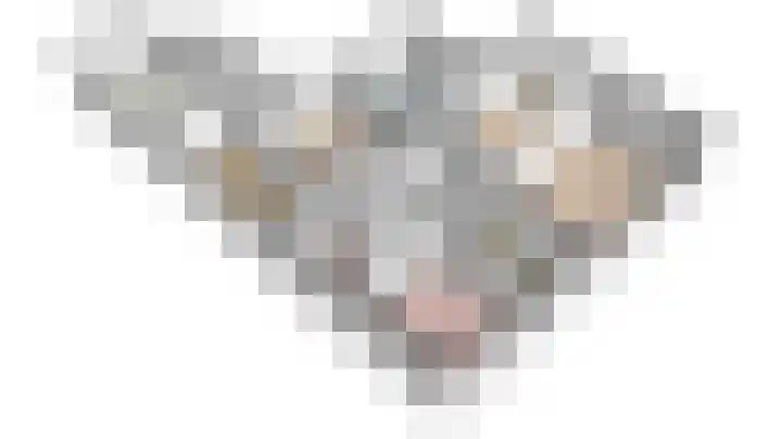 Wynserdyk 14 Easterein thumbnail 58