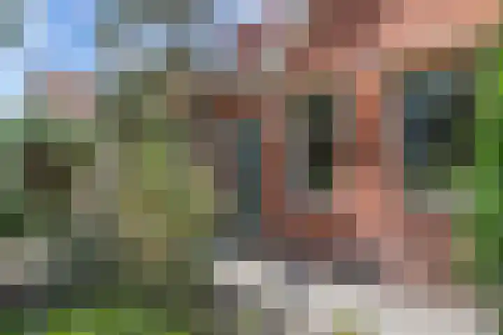 Wynserdyk 14 Easterein thumbnail 7