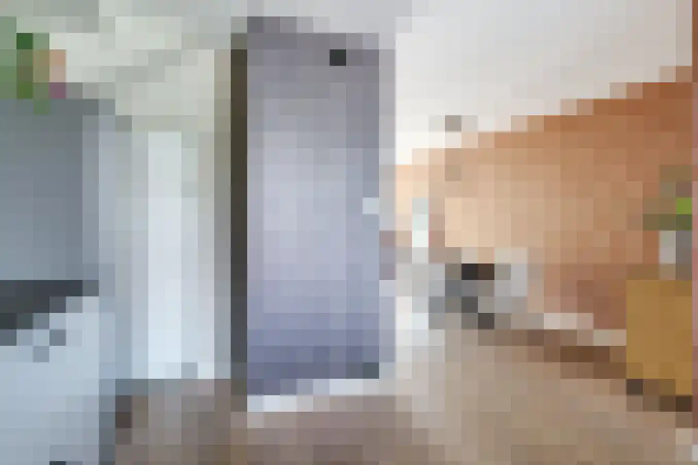 Wytemalaan 10 Alkmaar thumbnail 16