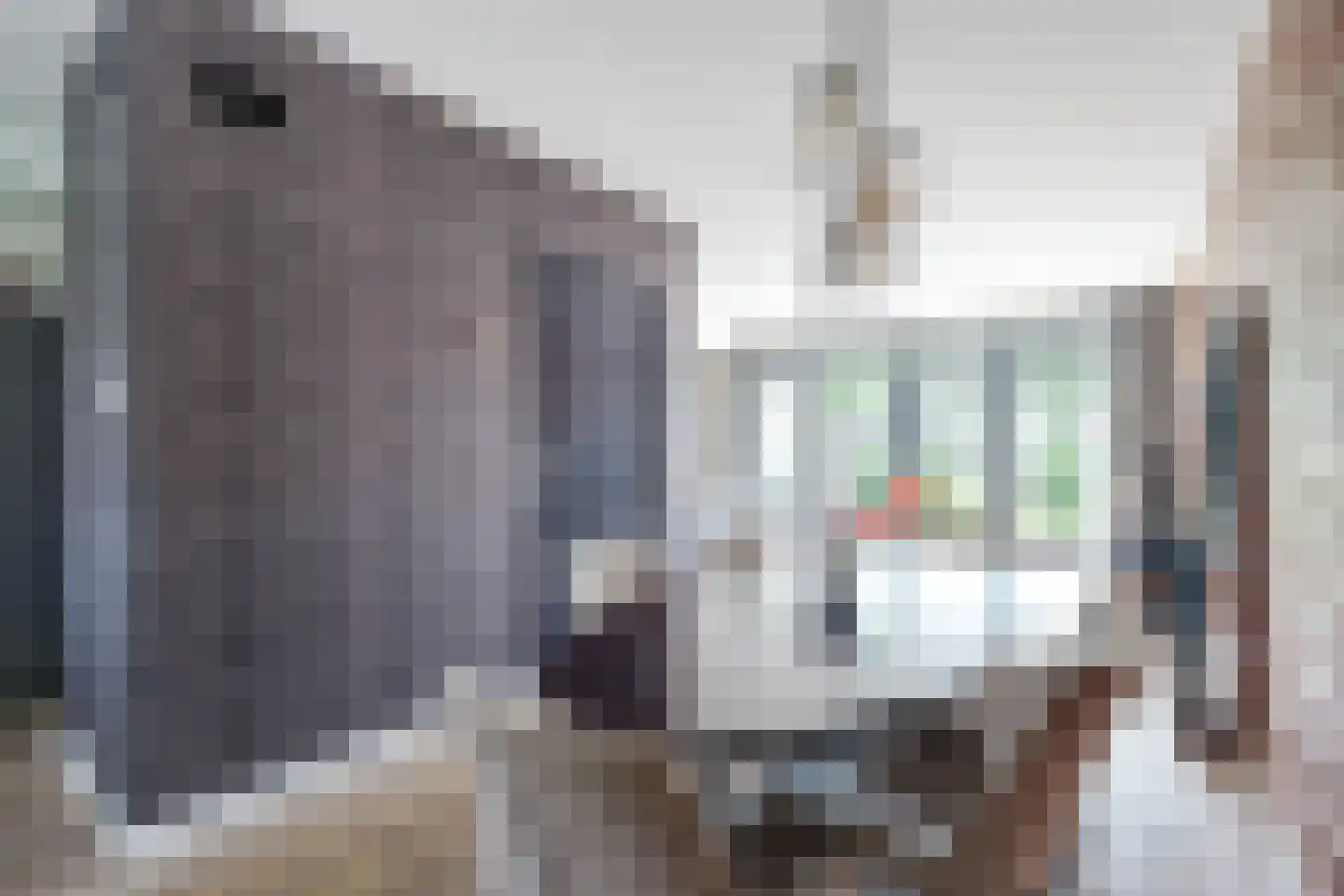 Wytemalaan 10 Alkmaar thumbnail 20