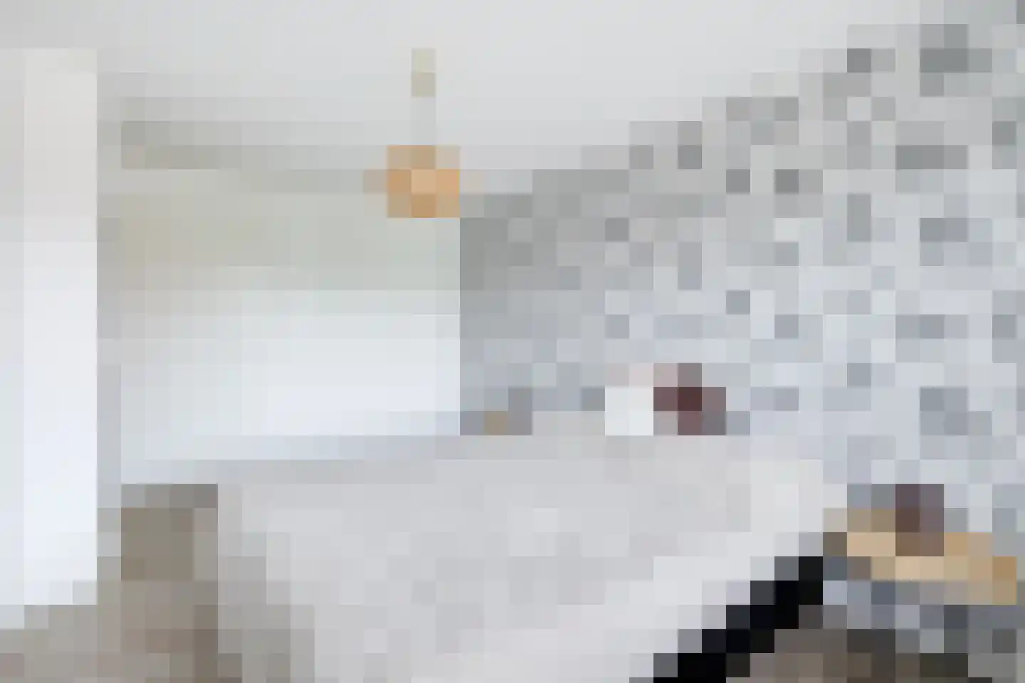 Wytemalaan 10 Alkmaar thumbnail 31