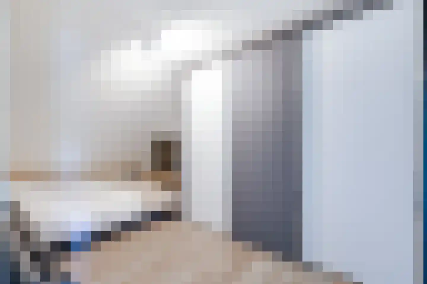 Wytemalaan 10 Alkmaar thumbnail 36