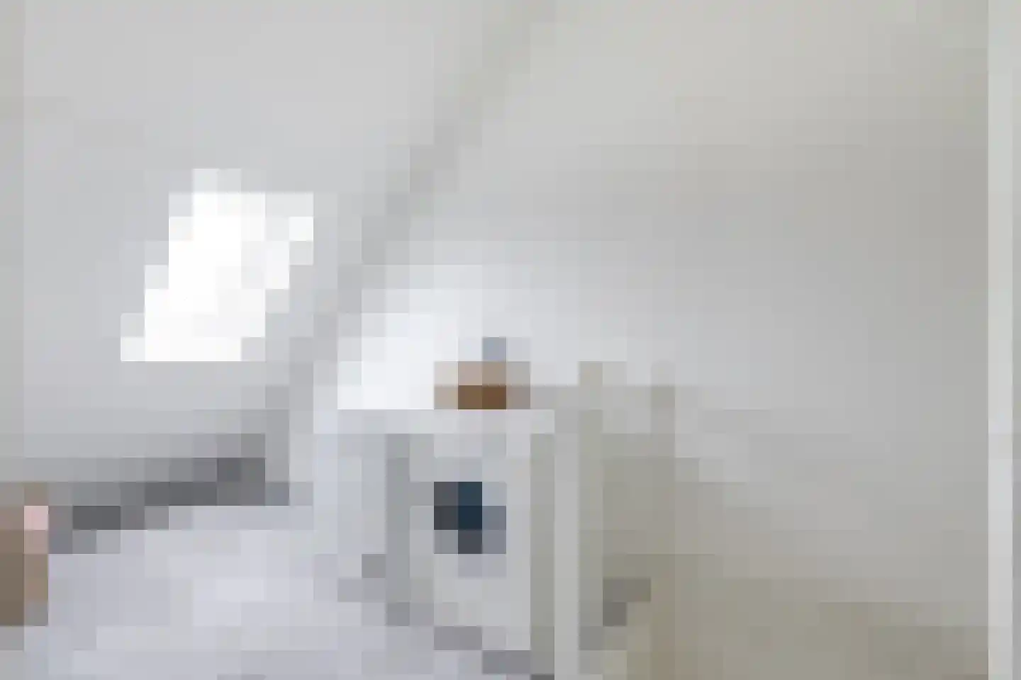 Wytemalaan 10 Alkmaar thumbnail 38
