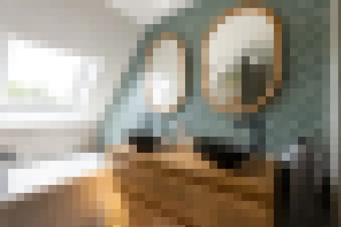 Wytemalaan 10 Alkmaar thumbnail 4