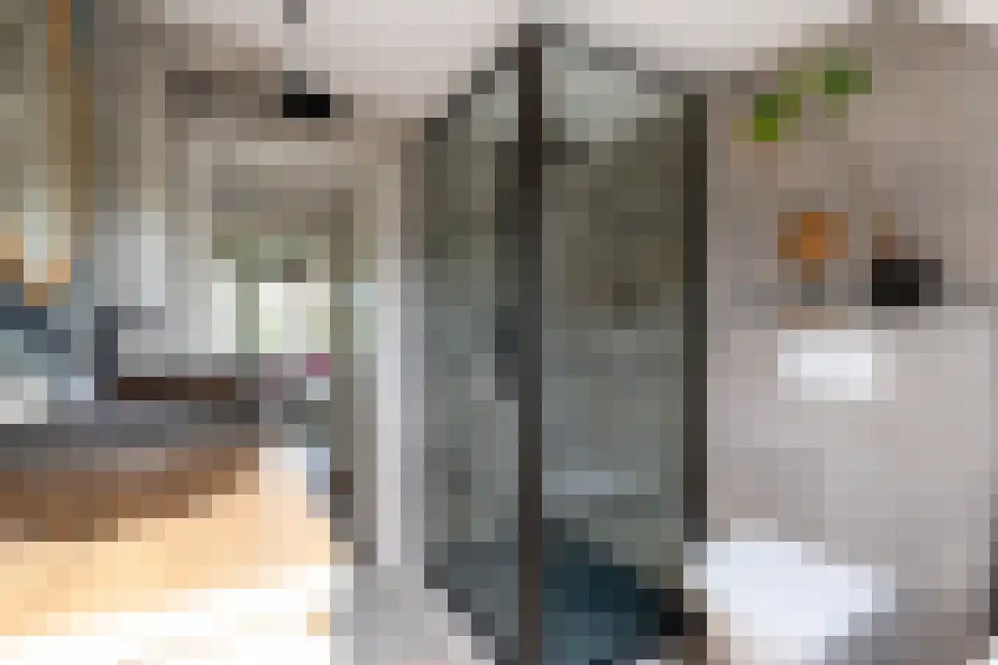 Wytemalaan 10 Alkmaar thumbnail 42