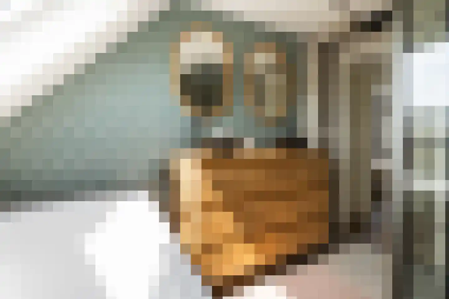 Wytemalaan 10 Alkmaar thumbnail 43