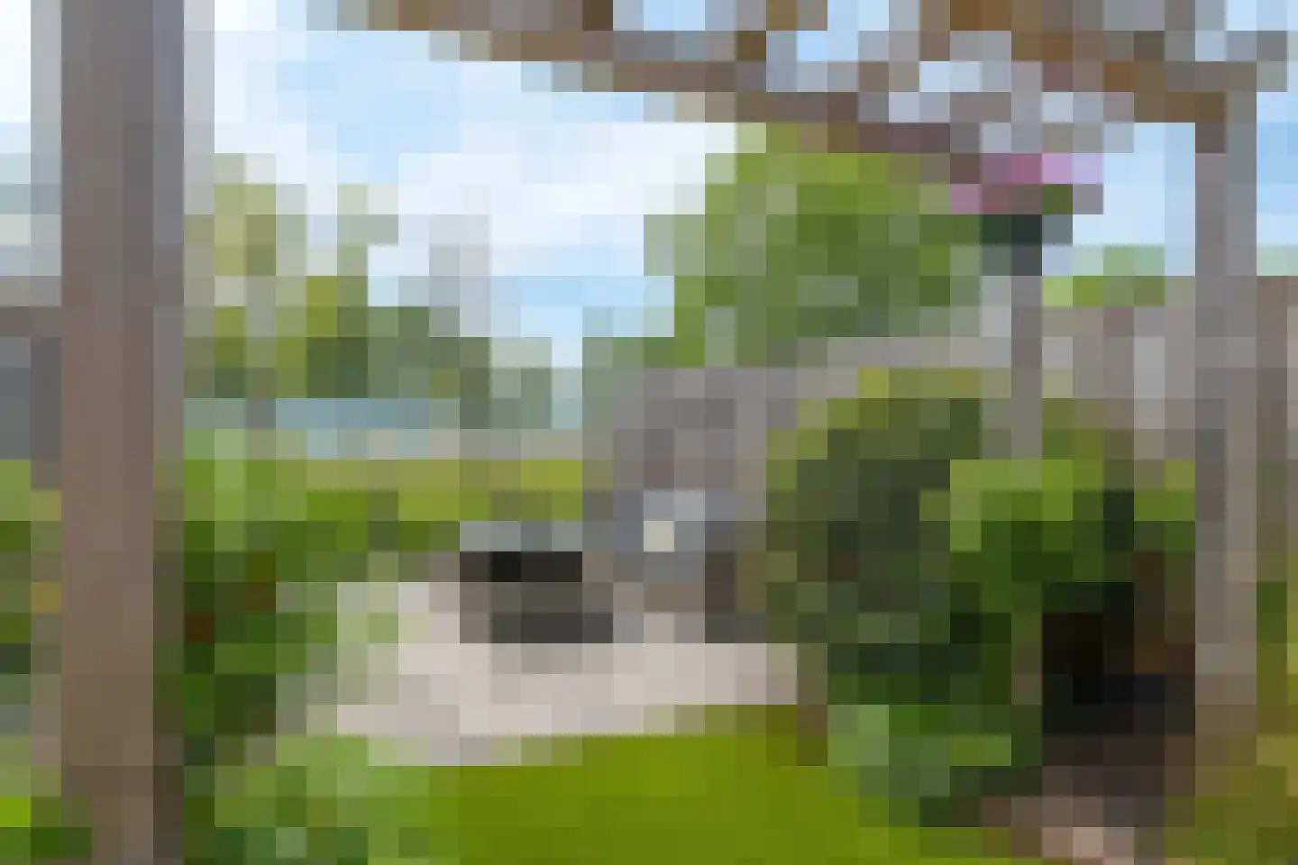 Wytemalaan 10 Alkmaar thumbnail 54