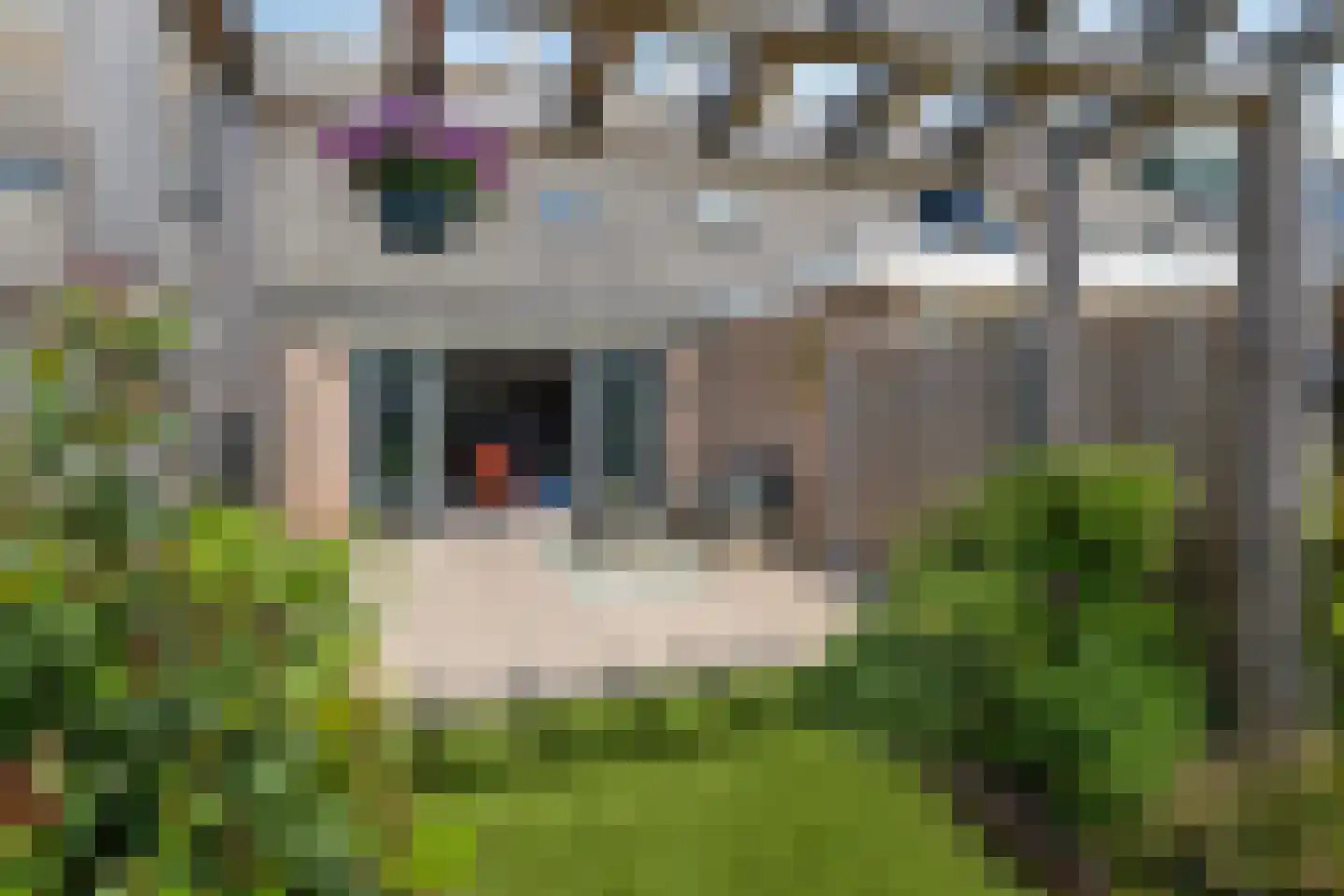 Wytemalaan 10 Alkmaar thumbnail 57