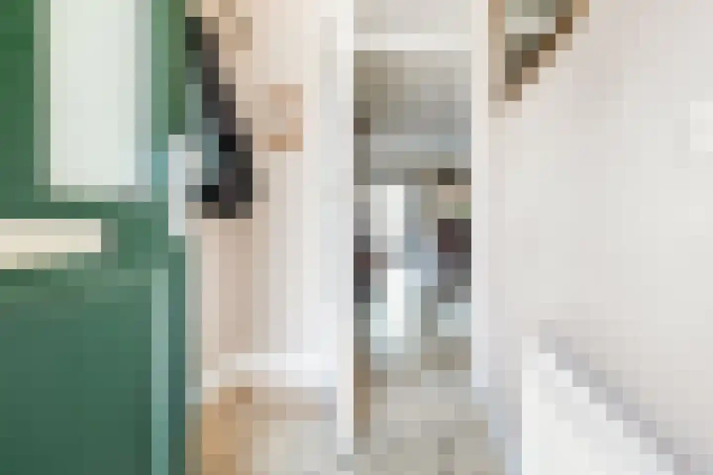 Wytemalaan 37 Alkmaar thumbnail 10