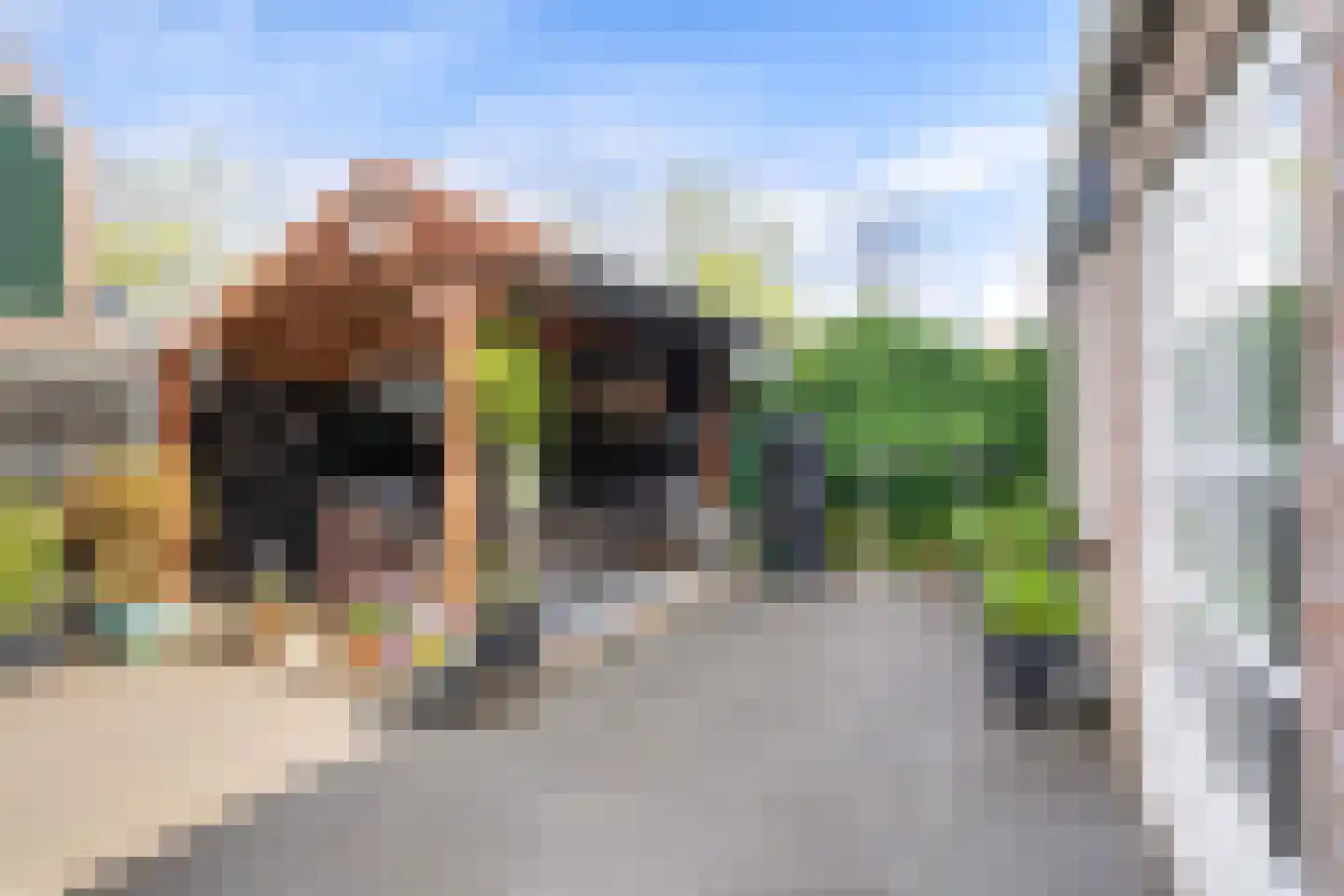 Wytemalaan 37 Alkmaar thumbnail 34