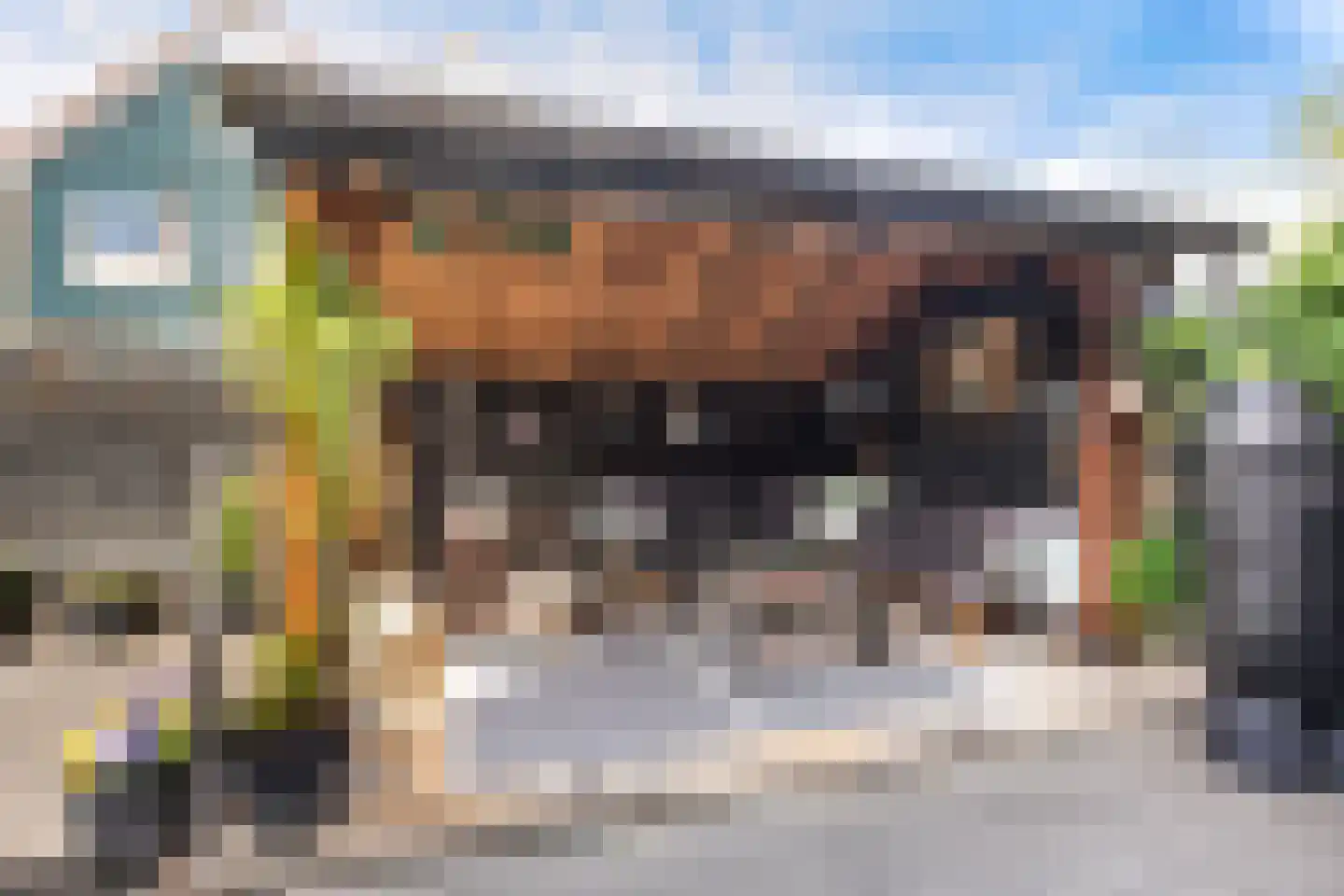 Wytemalaan 37 Alkmaar thumbnail 37