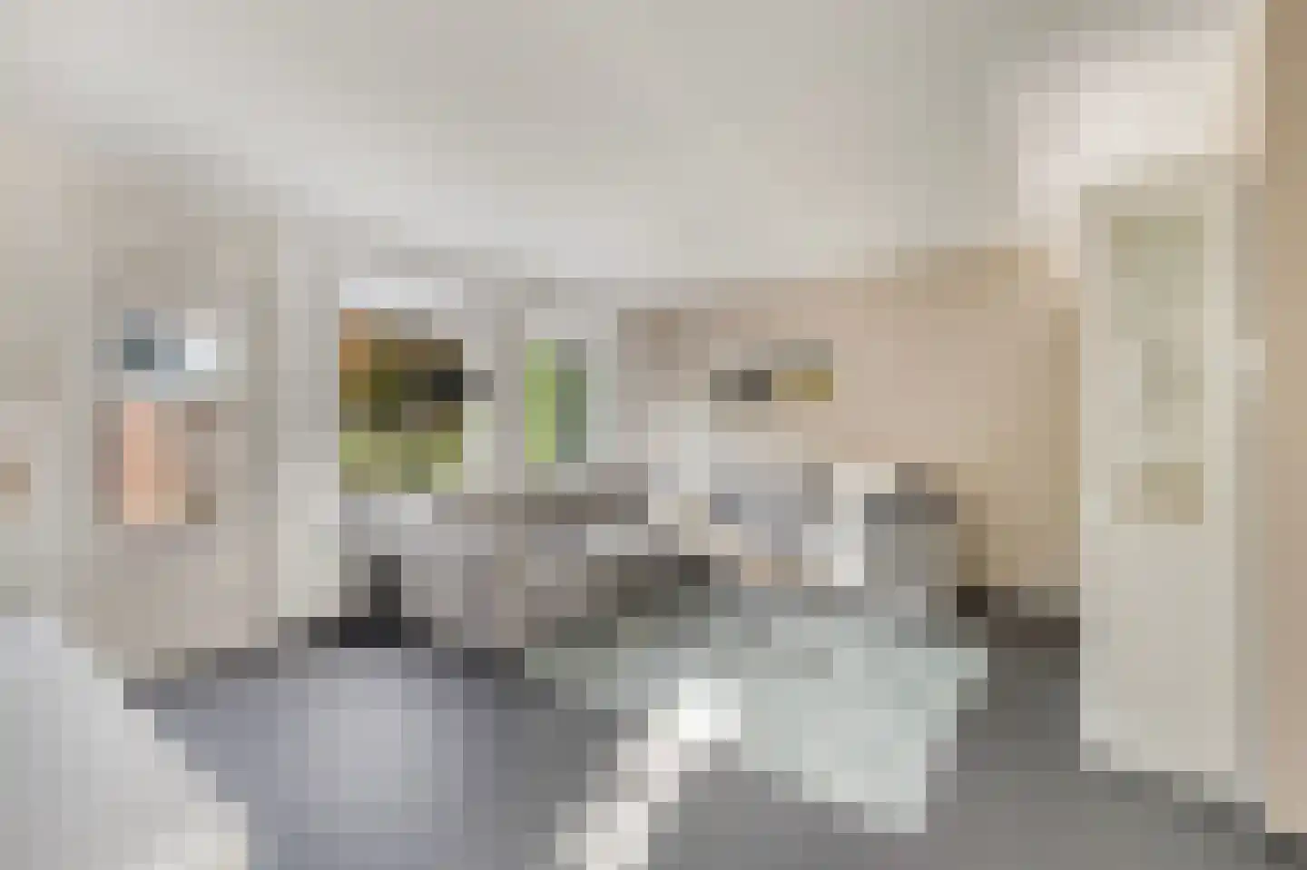 Wytemalaan 44 Alkmaar thumbnail 13