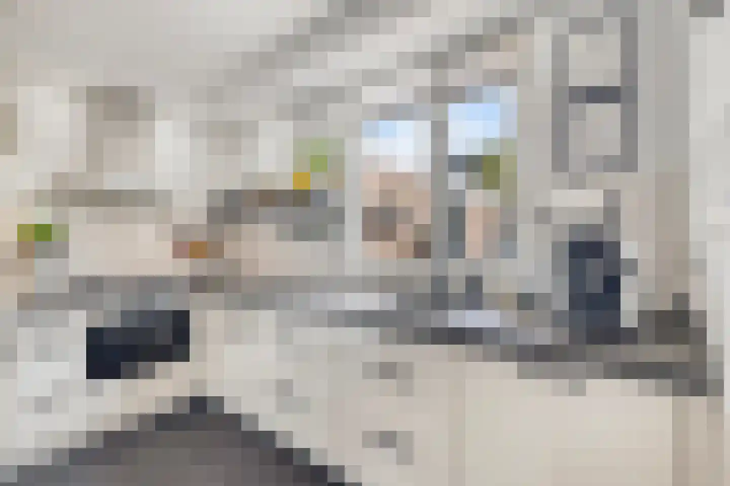 Wytemalaan 44 Alkmaar thumbnail 20