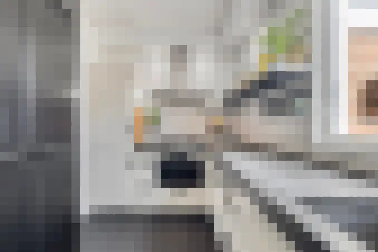 Wytemalaan 44 Alkmaar thumbnail 21