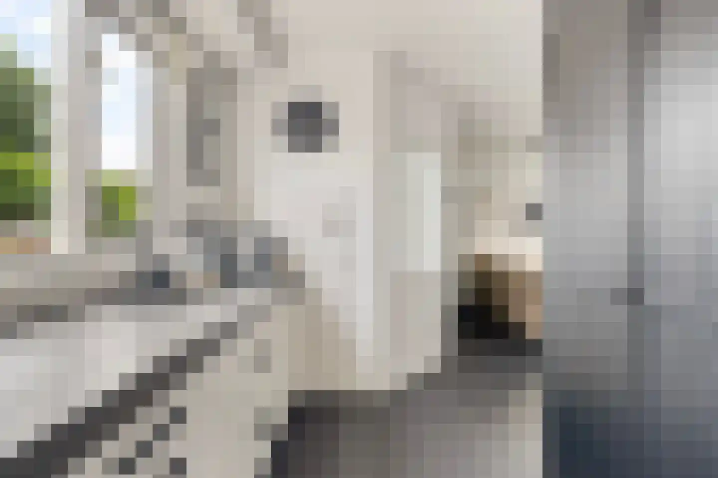 Wytemalaan 44 Alkmaar thumbnail 22