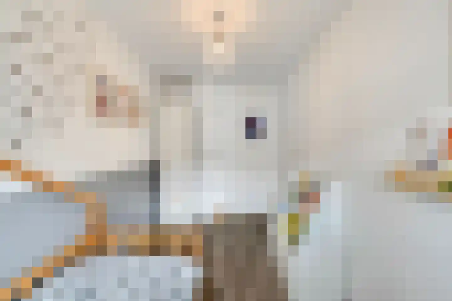 Wytemalaan 44 Alkmaar thumbnail 27