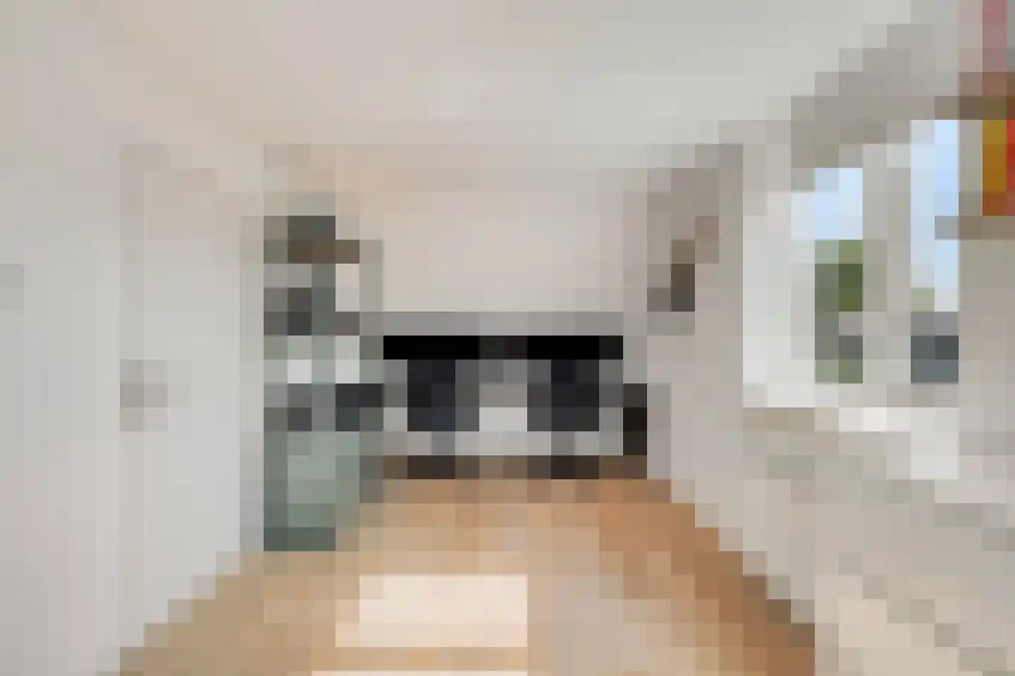 Wytemalaan 44 Alkmaar thumbnail 37