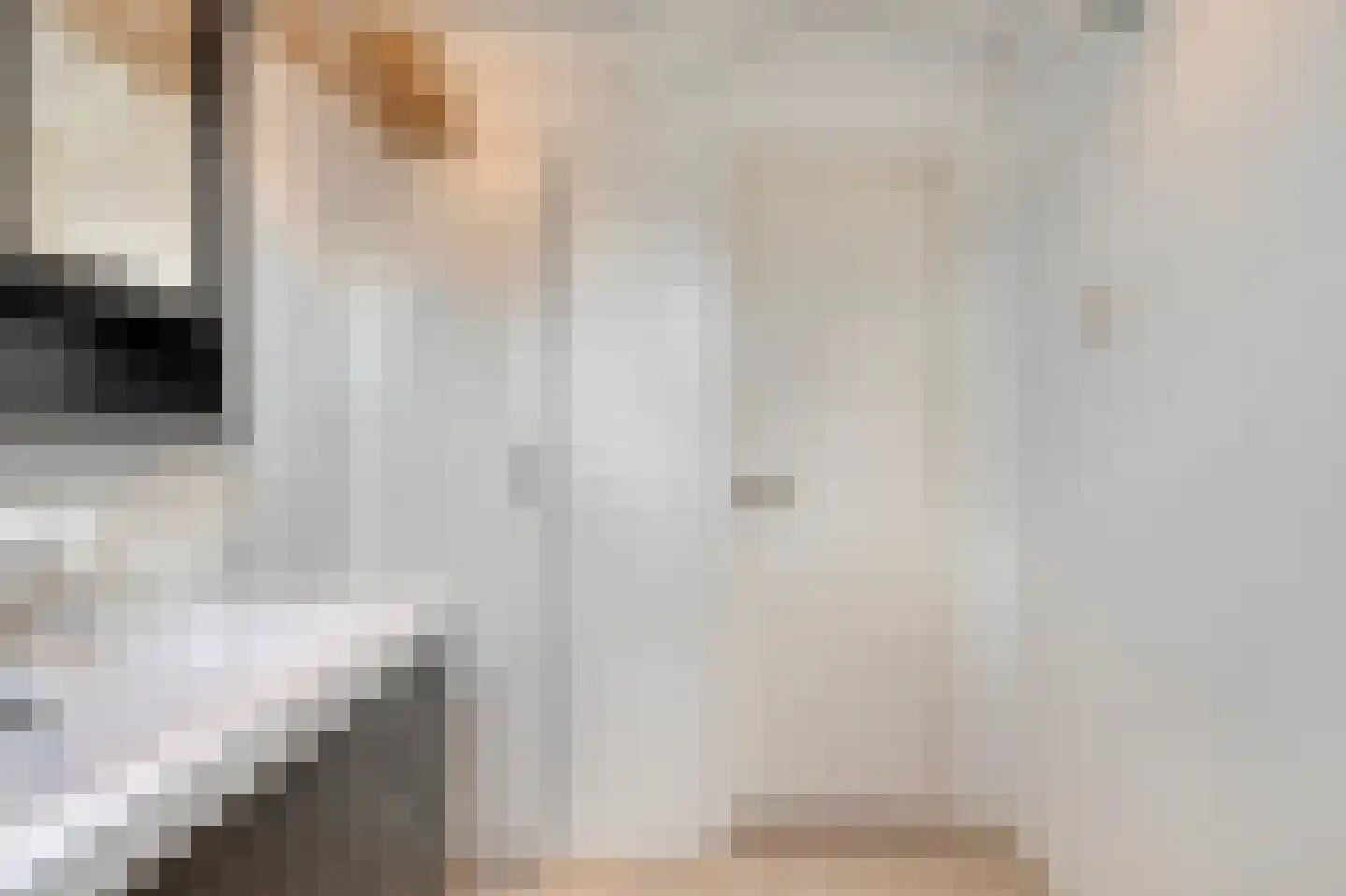 Wytemalaan 44 Alkmaar thumbnail 39