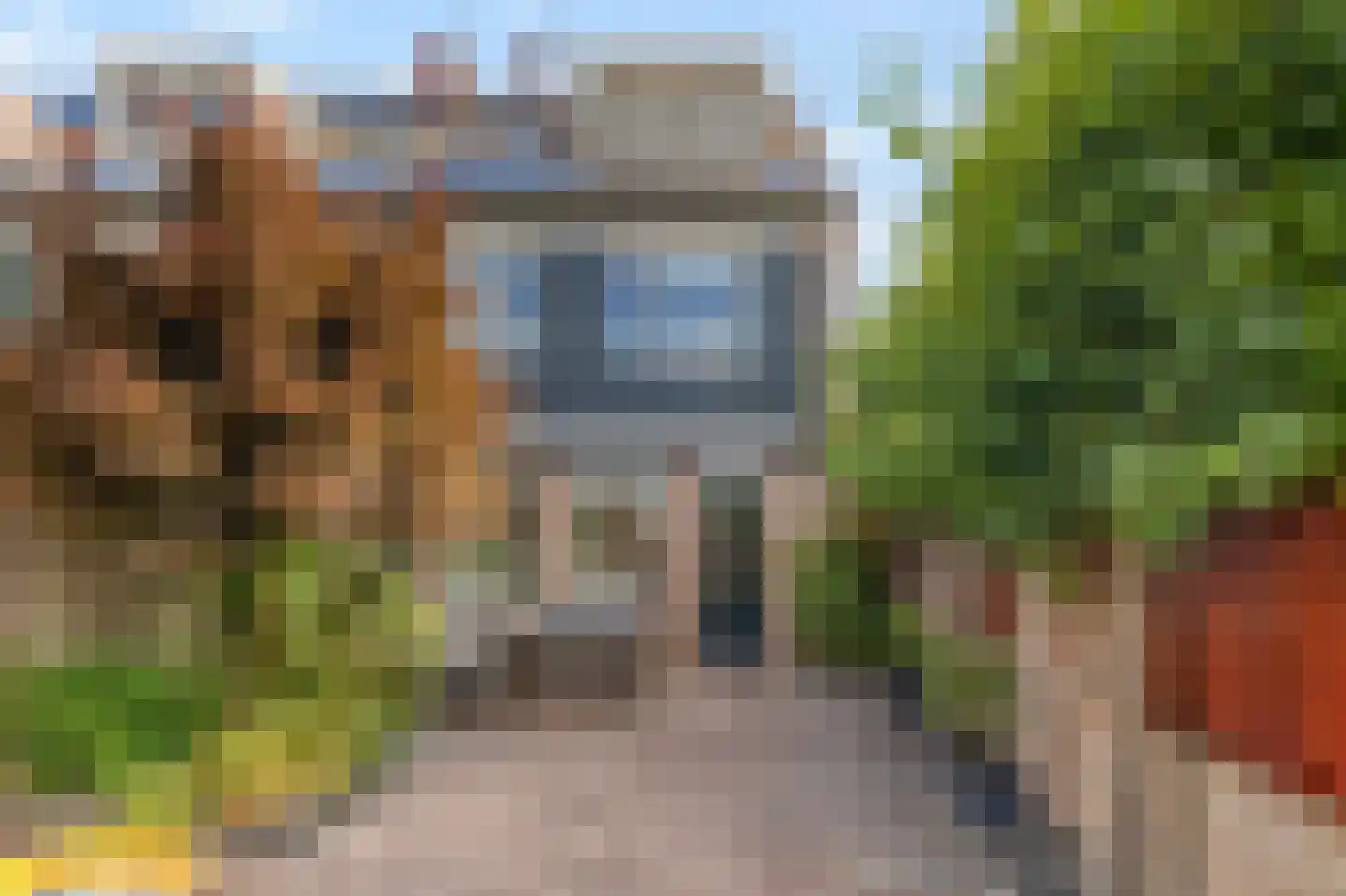 Wytemalaan 44 Alkmaar thumbnail 42