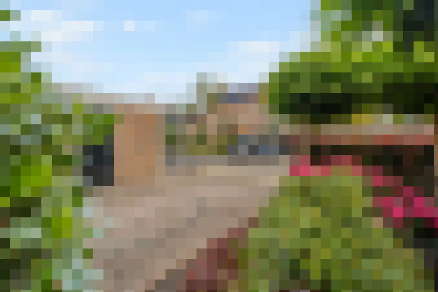 Wytemalaan 44 Alkmaar thumbnail 8