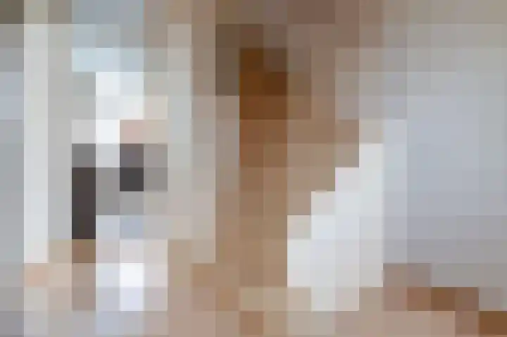 Wytemastraat 4 Blokker thumbnail 13