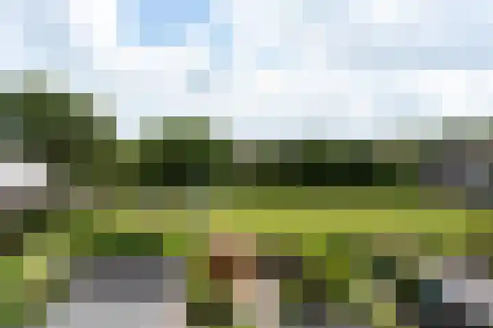Wytemastraat 4 Blokker thumbnail 27