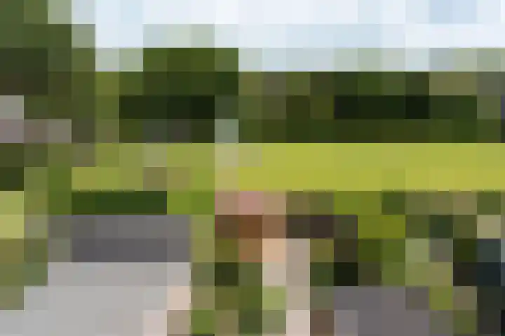 Wytemastraat 4 Blokker thumbnail 28