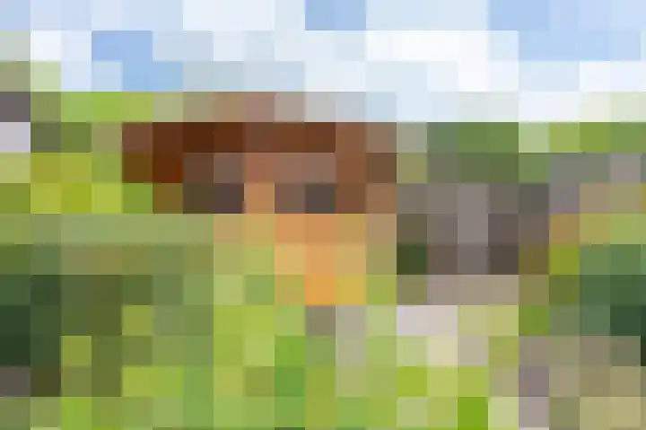 Wytemastraat 4 Blokker thumbnail 34