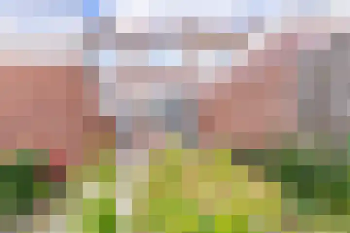 Wytemastraat 4 Blokker thumbnail 35