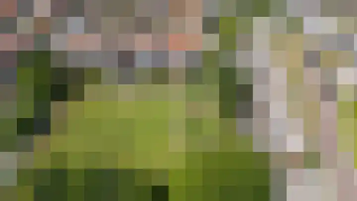Wytemastraat 4 Blokker thumbnail 38