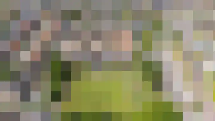 Wytemastraat 4 Blokker thumbnail 40