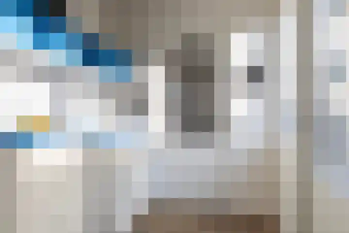 Wythústerwei 18 Stiens thumbnail 12