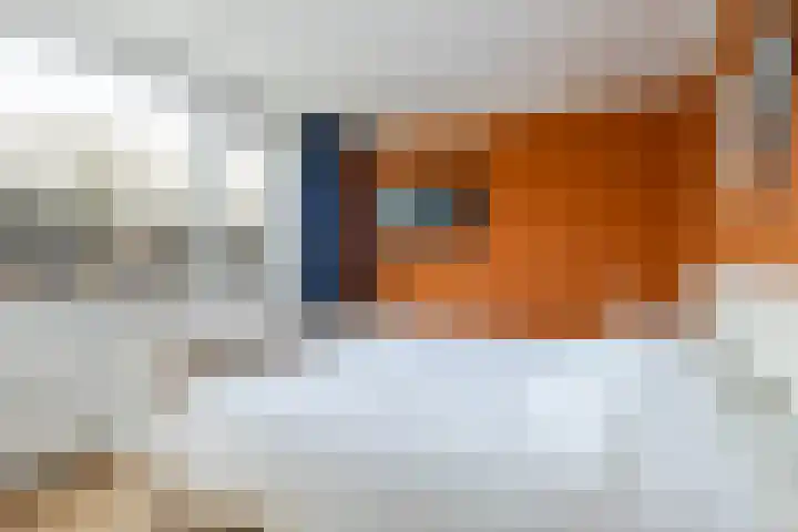 Wythústerwei 18 Stiens thumbnail 19
