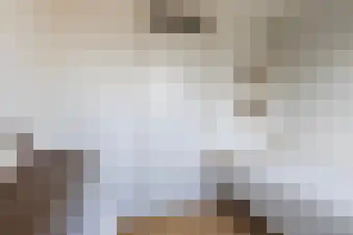 Wythústerwei 18 Stiens thumbnail 22