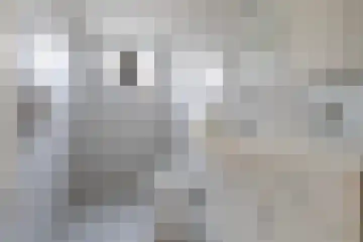 Wythústerwei 18 Stiens thumbnail 23
