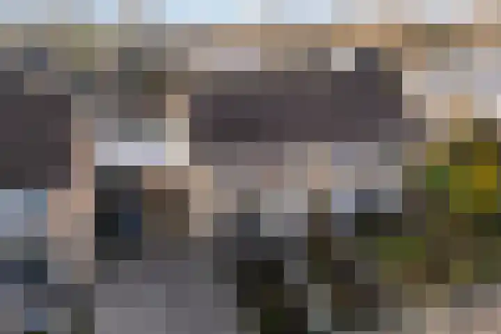 Wythústerwei 18 Stiens thumbnail 40