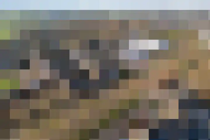 Wythústerwei 18 Stiens thumbnail 41