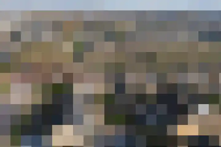 Wythústerwei 18 Stiens thumbnail 42