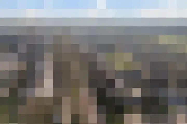 Wythústerwei 18 Stiens thumbnail 43