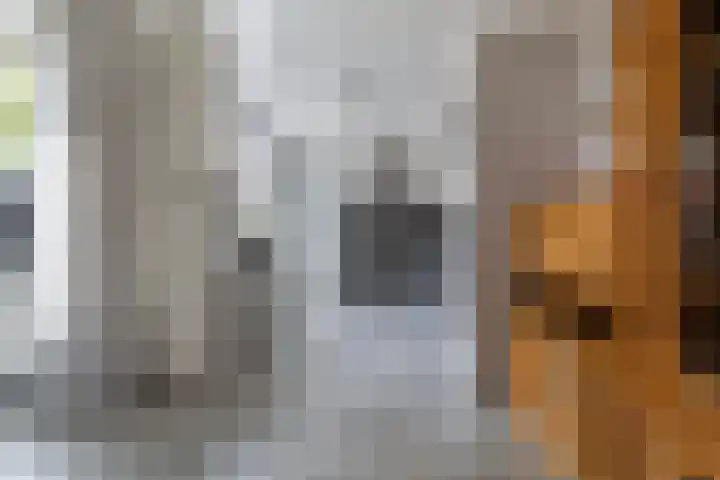 Wythústerwei 26 Stiens thumbnail 14