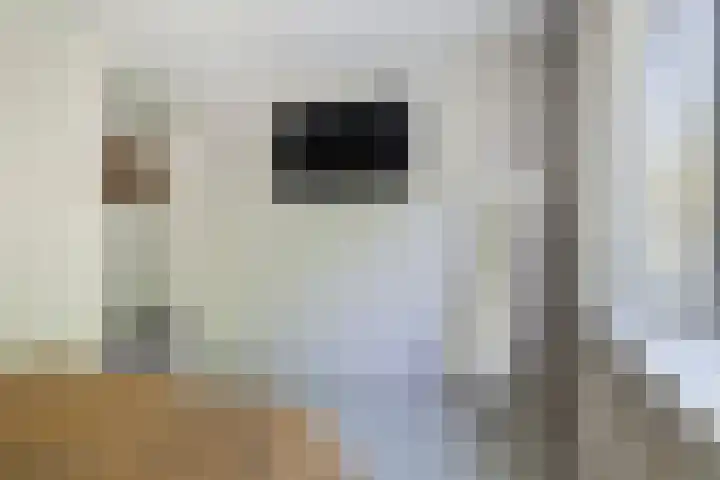 Wythústerwei 26 Stiens thumbnail 24