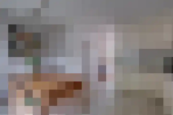 Wythústerwei 26 Stiens thumbnail 25