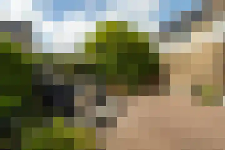 Wythústerwei 26 Stiens thumbnail 43