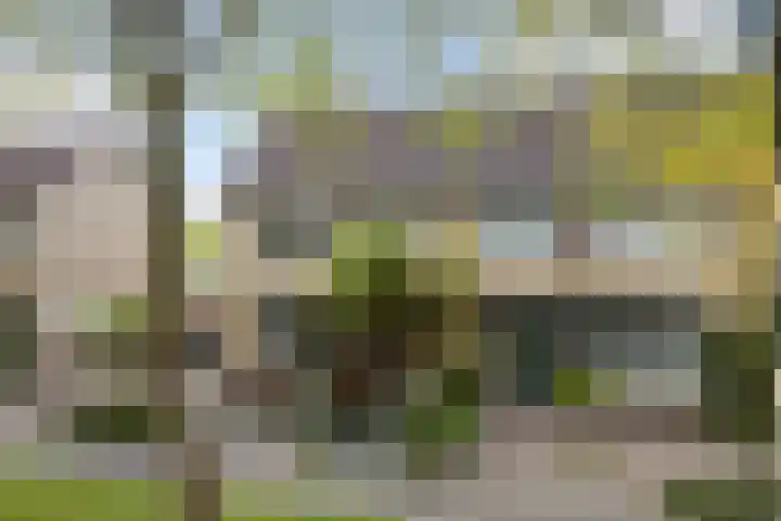 Wythústerwei 26 Stiens thumbnail 48