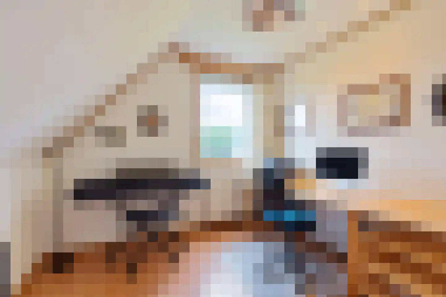 Wytlânspaed 2 B Bakhuizen thumbnail 30