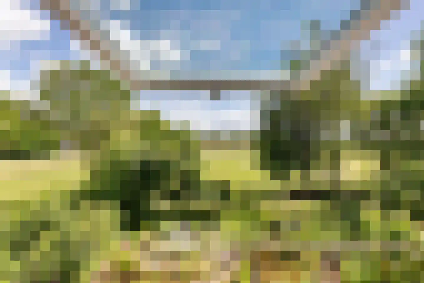 Wytlânspaed 2 B Bakhuizen thumbnail 32