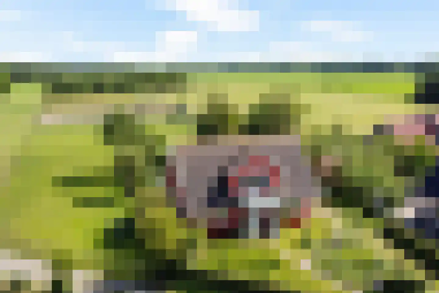 Wytlânspaed 2 B Bakhuizen thumbnail 34