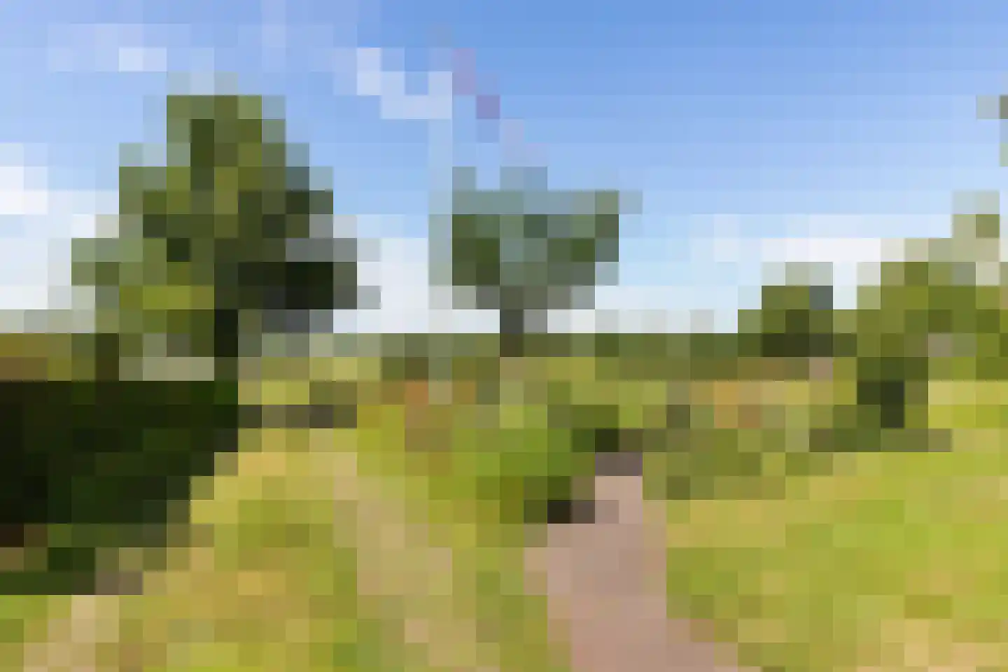 Wytlânspaed 2 B Bakhuizen thumbnail 37