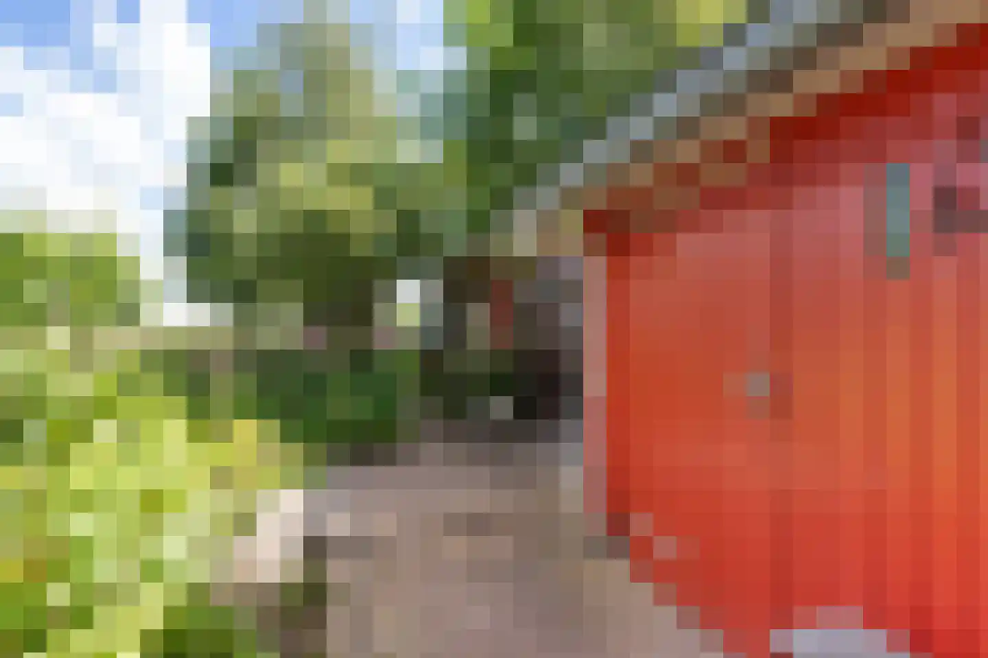 Wytlânspaed 2 B Bakhuizen thumbnail 39