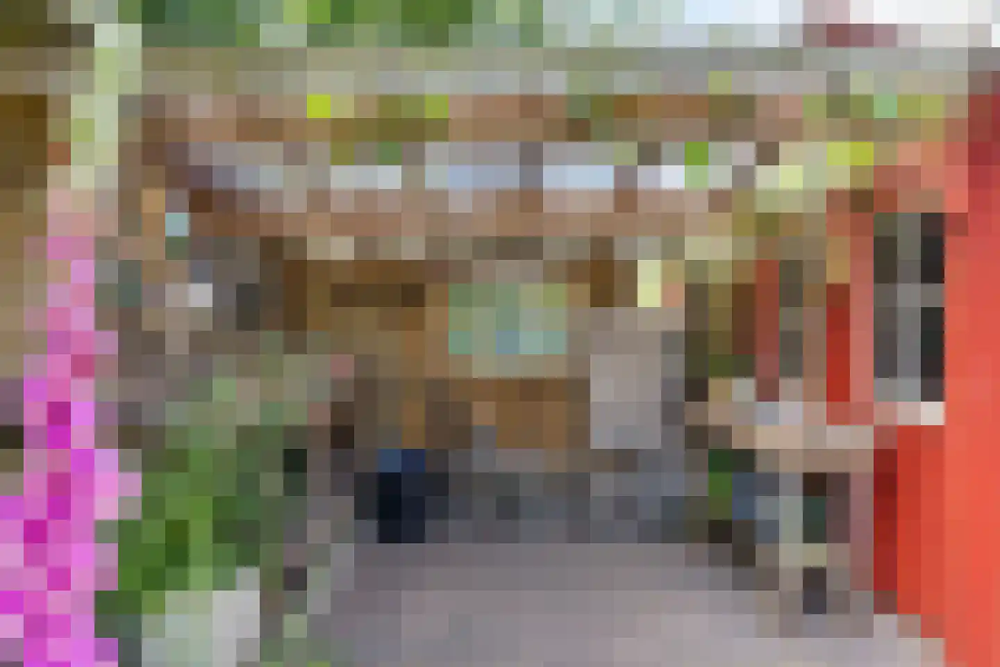 Wytlânspaed 2 B Bakhuizen thumbnail 40